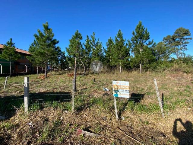 Terreno / Lote para Venda em Santa Maria/RS Camobi
