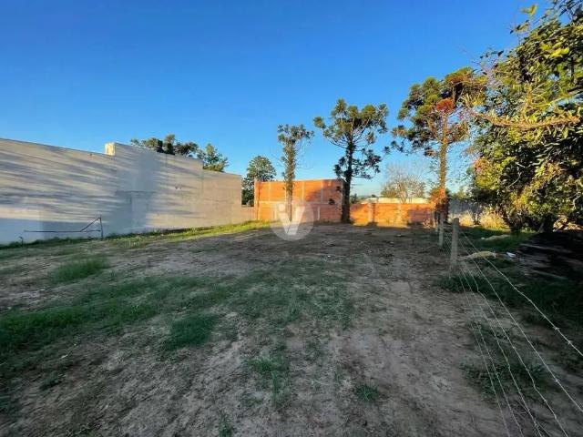 Terreno / Lote para Venda em Santa Maria/RS Camobi
