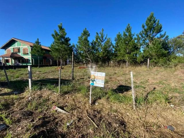 Terreno / Lote para Venda em Santa Maria/RS Camobi
