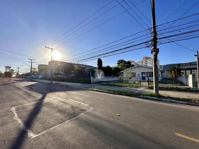 Terreno / Lote para Venda em Santa Maria/RS Camobi