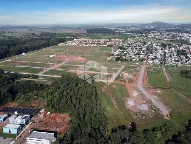 Terreno / Lote para Venda em Santa Maria/RS Camobi