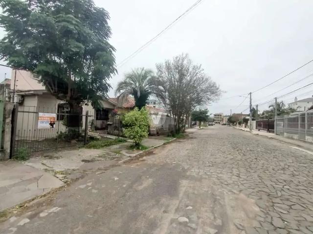 Terreno / Lote para Venda em Santa Maria/RS Camobi