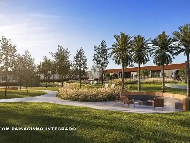 Terreno / Lote para Venda em Santa Maria/RS Camobi