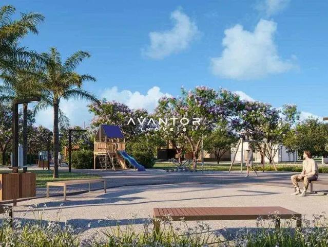 Terreno / Lote para Venda em Santa Maria/RS Camobi