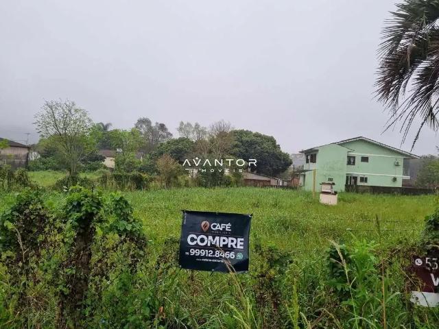 Terreno / Lote para Venda em Santa Maria/RS Camobi