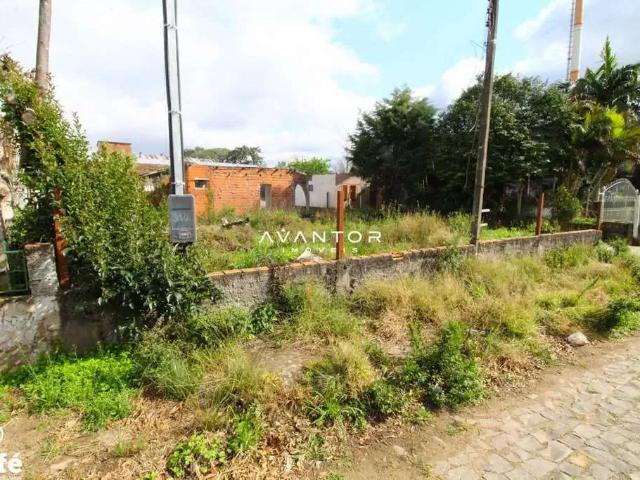 Terreno / Lote para Venda em Santa Maria/RS Camobi