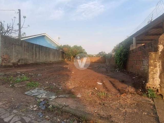 Terreno / Lote para Venda em Santa Maria/RS Camobi