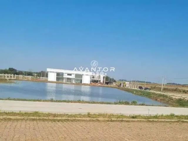 Terreno / Lote para Venda em Santa Maria/RS Camobi