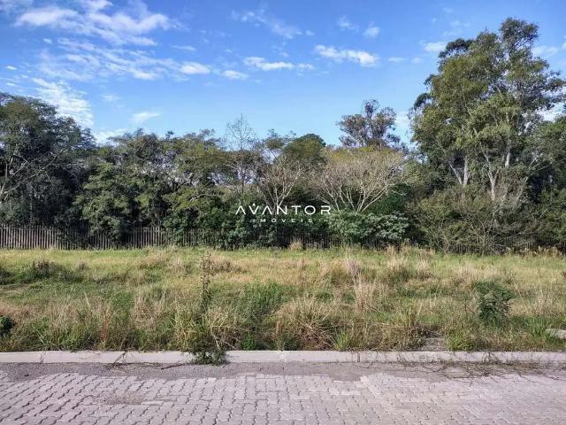 Terreno / Lote para Venda em Santa Maria/RS Camobi