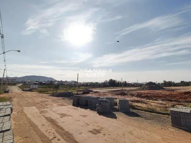Terreno / Lote para Venda em Santa Maria/RS Camobi