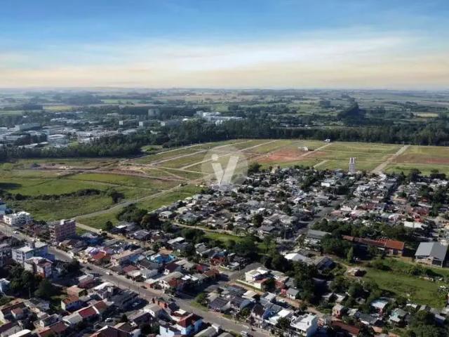 Terreno / Lote para Venda em Santa Maria/RS Camobi