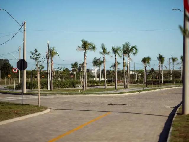 Terreno / Lote para Venda em Santa Maria/RS Camobi
