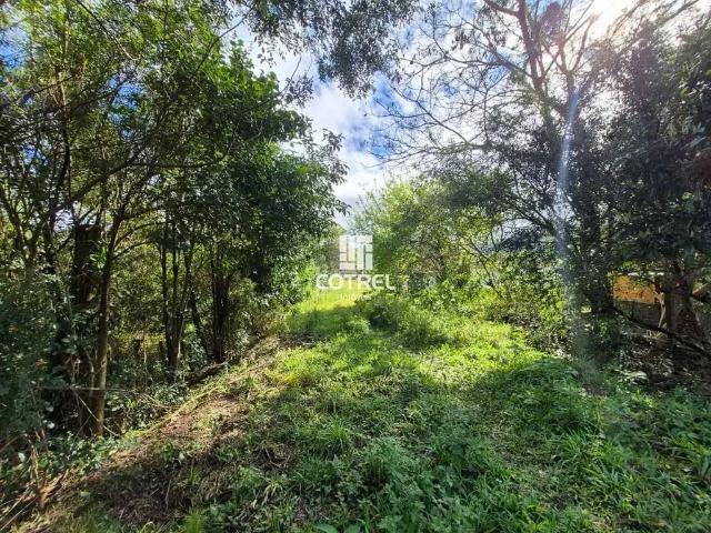 Terreno / Lote para Venda em Santa Maria/RS Camobi