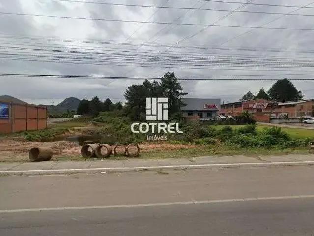 Terreno / Lote para Venda em Santa Maria/RS Camobi