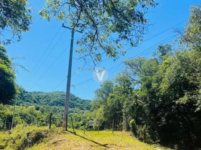 Terreno / Lote para Venda em Santa Maria/RS Campestre do Menino Deus