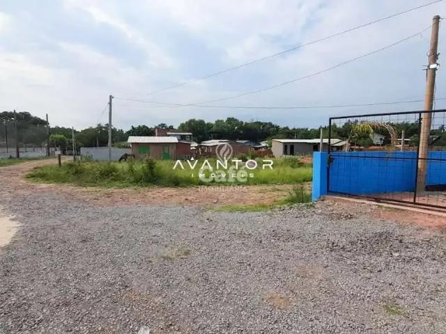 Terreno / Lote para Venda em Santa Maria/RS Caturrita