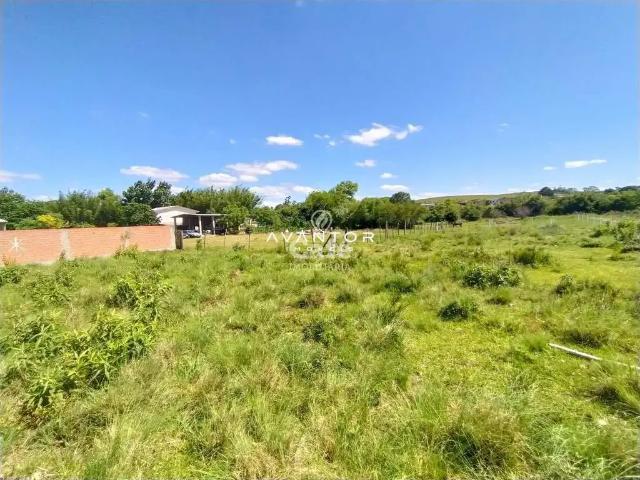 Terreno / Lote para Venda em Santa Maria/RS Caturrita