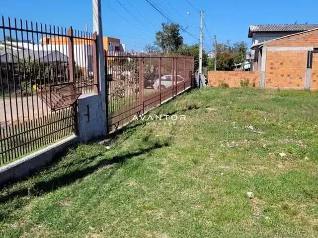 Terreno / Lote para Venda em Santa Maria/RS Caturrita