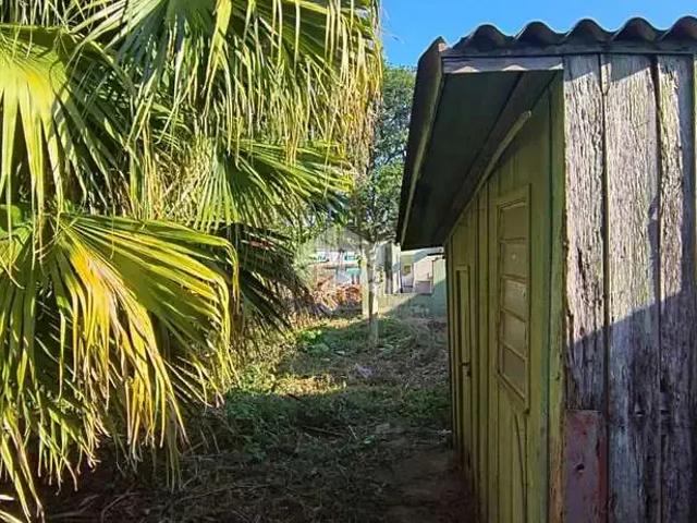 Terreno / Lote para Venda em Santa Maria/RS Centro