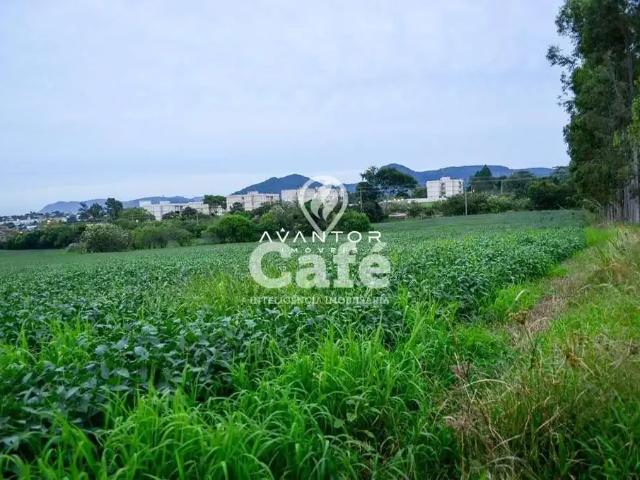 Terreno / Lote para Venda em Santa Maria/RS Cerrito