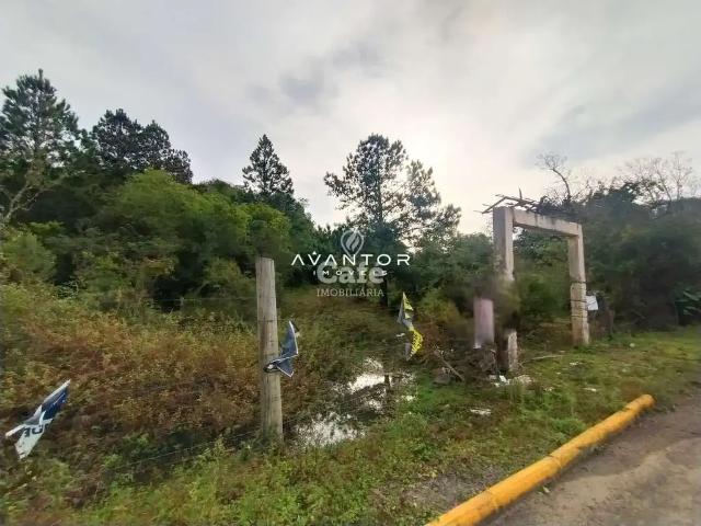 Terreno / Lote para Venda em Santa Maria/RS Cerrito