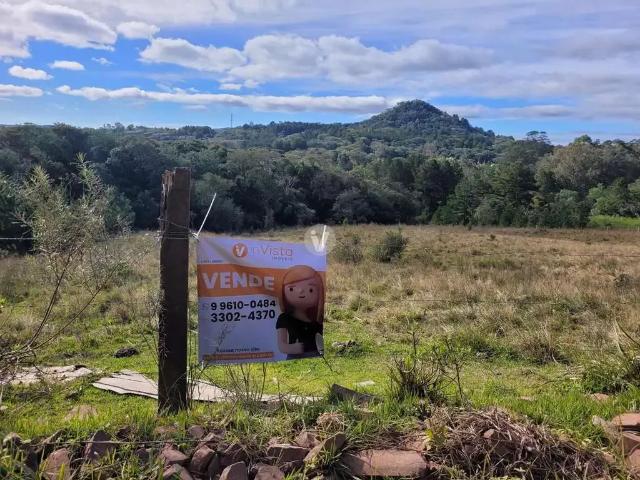 Terreno / Lote para Venda em Santa Maria/RS Cerrito
