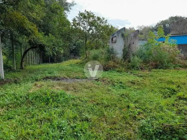 Terreno / Lote para Venda em Santa Maria/RS Chácara das Flores
