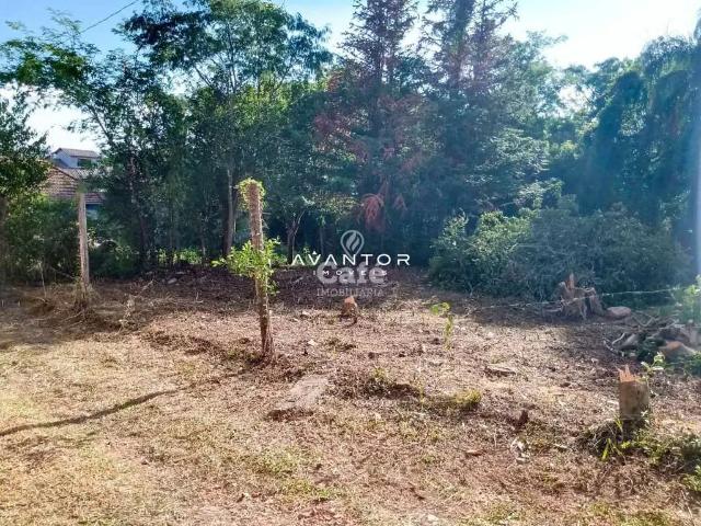 Terreno / Lote para Venda em Santa Maria/RS Chácara das Flores