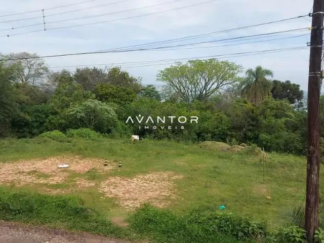 Terreno / Lote para Venda em Santa Maria/RS Chácara das Flores