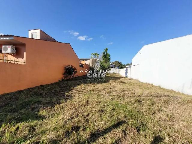 Terreno / Lote para Venda em Santa Maria/RS Chácara das Flores
