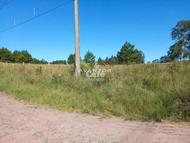 Terreno / Lote para Venda em Santa Maria/RS Diácono João Luiz Pozzobon