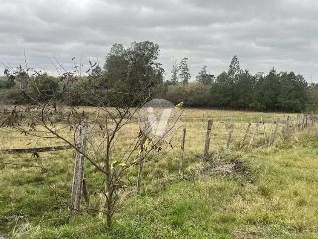 Terreno / Lote para Venda em Santa Maria/RS Diácono João Luiz Pozzobon