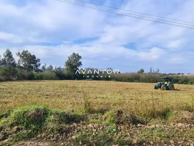 Terreno / Lote para Venda em Santa Maria/RS Diácono João Luiz Pozzobon