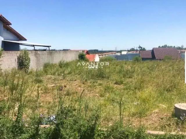 Terreno / Lote para Venda em Santa Maria/RS Diácono João Luiz Pozzobon