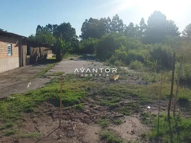 Terreno / Lote para Venda em Santa Maria/RS Diácono João Luiz Pozzobon