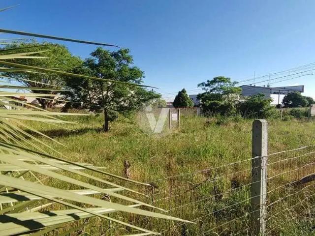 Terreno / Lote para Venda em Santa Maria/RS Dom Antônio Reis