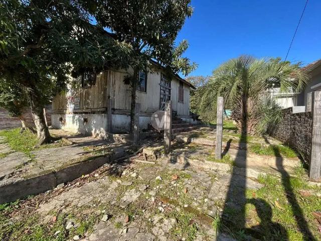 Terreno / Lote para Venda em Santa Maria/RS Itararé