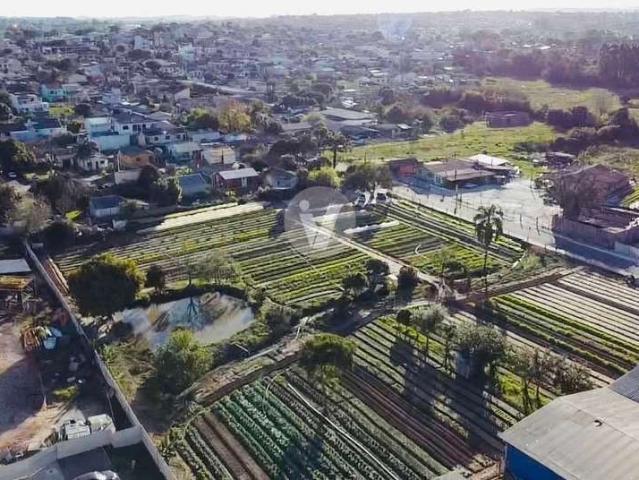 Terreno / Lote para Venda em Santa Maria/RS Juscelino Kubitschek