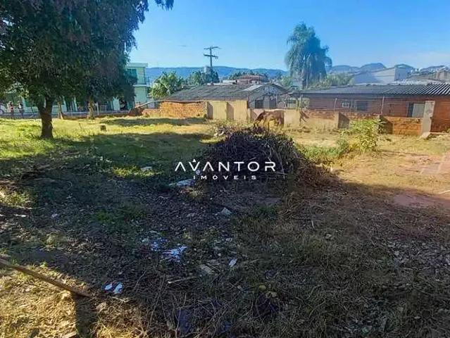 Terreno / Lote para Venda em Santa Maria/RS Juscelino Kubitschek