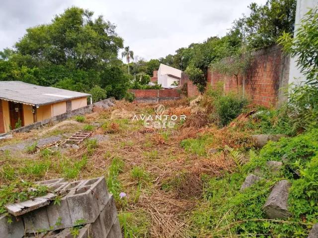 Terreno / Lote para Venda em Santa Maria/RS Juscelino Kubitschek