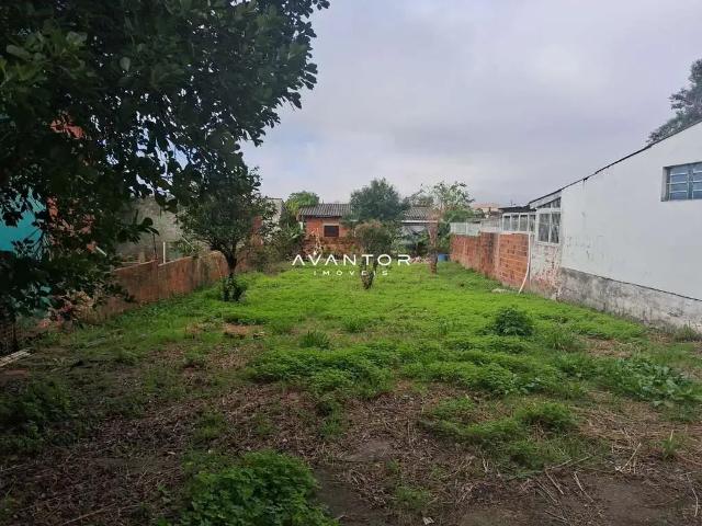 Terreno / Lote para Venda em Santa Maria/RS Juscelino Kubitschek