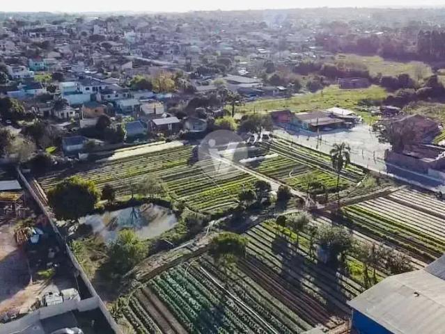 Terreno / Lote para Venda em Santa Maria/RS Juscelino Kubitschek