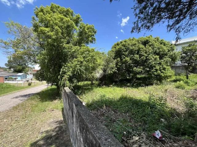 Terreno / Lote para Venda em Santa Maria/RS km 3