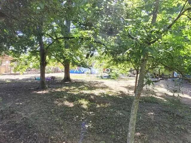 Terreno / Lote para Venda em Santa Maria/RS km 3