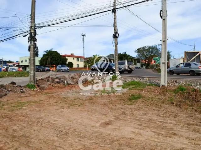 Terreno / Lote para Venda em Santa Maria/RS km 3