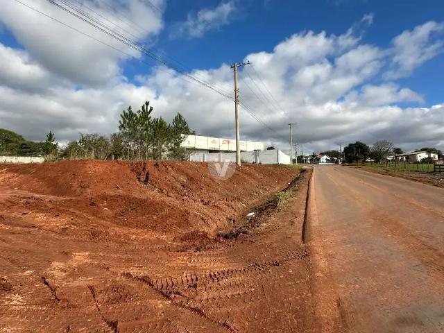 Terreno / Lote para Venda em Santa Maria/RS Lorenzi