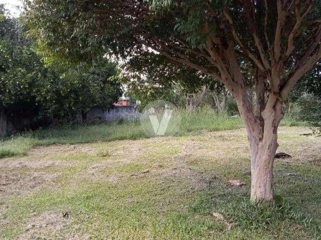 Terreno / Lote para Venda em Santa Maria/RS Passo das Tropas
