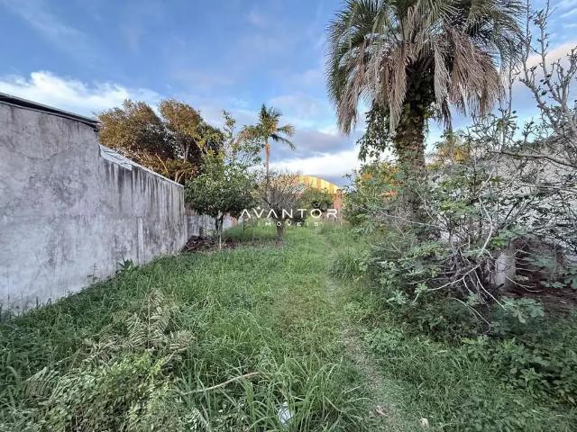 Terreno / Lote para Venda em Santa Maria/RS Passo D'Areia