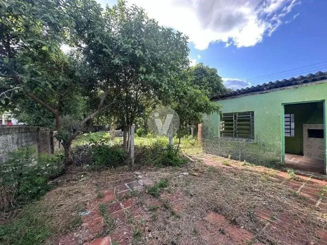 Terreno / Lote para Venda em Santa Maria/RS Passo D'Areia