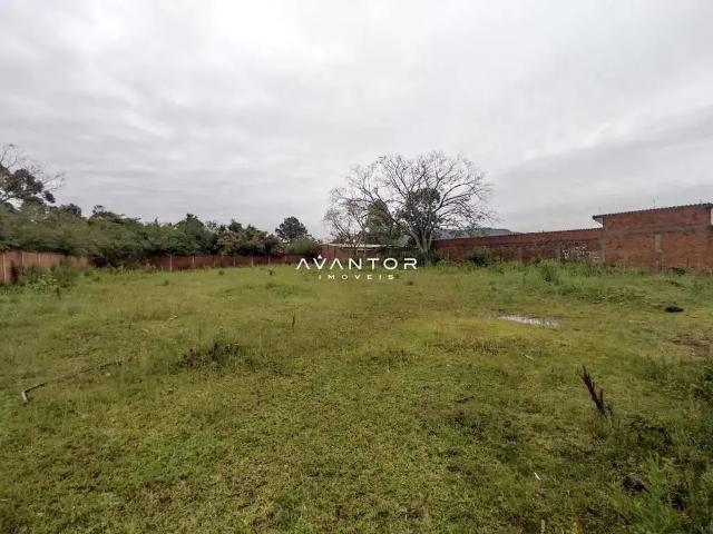 Terreno / Lote para Venda em Santa Maria/RS Passo D'Areia